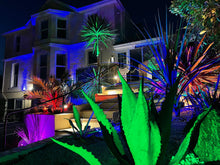 The 25 B&B - Torquay