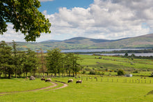 Abhainn Ri B&B - beautiful view - dublin