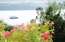 Loch Ness Lodge B&B - Inverness