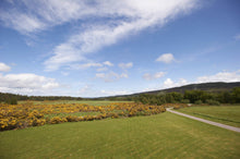 highland countryside