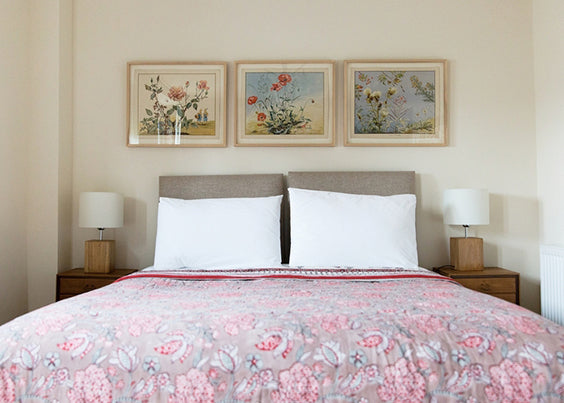 Tenbury Cottage - Shropshire
